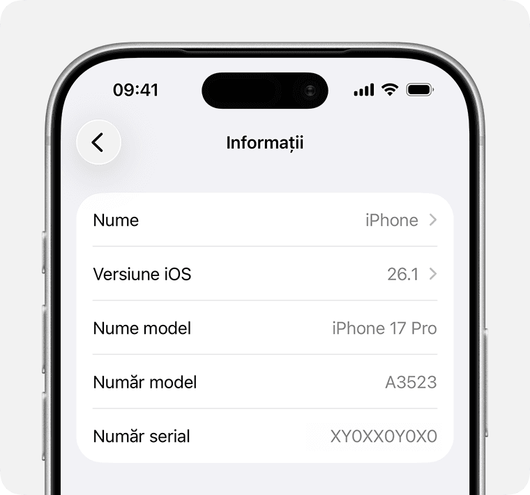 About screen on iPhone showing serial number and IMEI